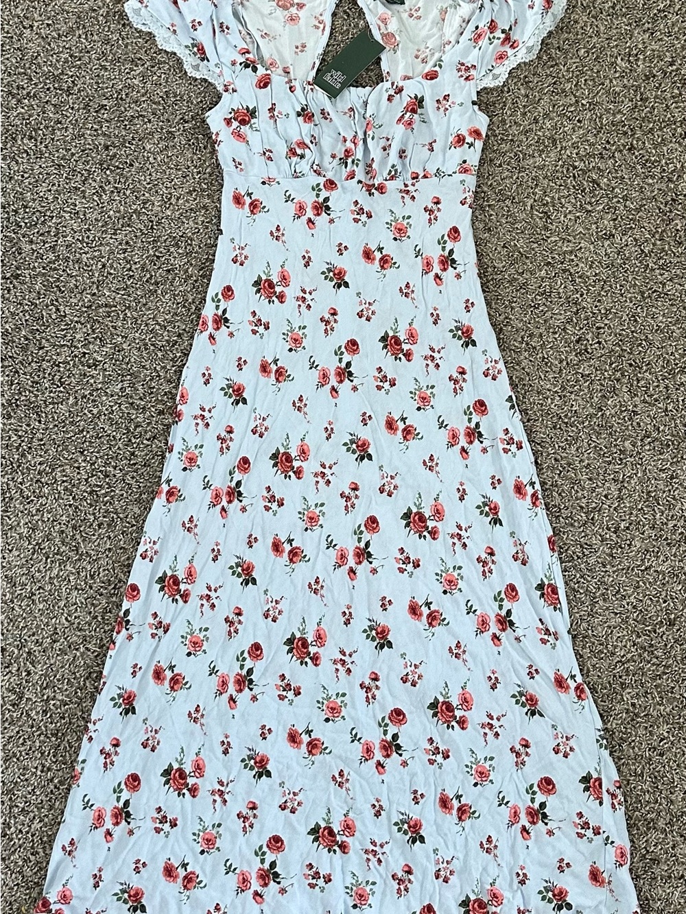 Target Blue Maxi Dress with Red Rose Print